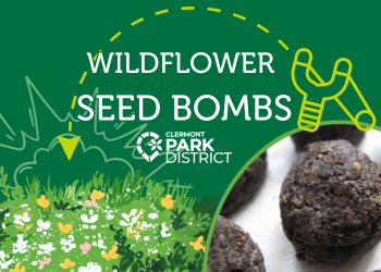 Mudballs with wildflower seeds and cartoon slingshot with Wildflower seed bombs in white lettering